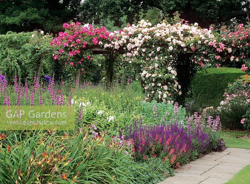 Rose pergola - Town Place Garden, Sussex