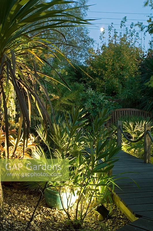 Tropical style garden with hidden  lighting - The Old Yew Tree, Felsted, Essex