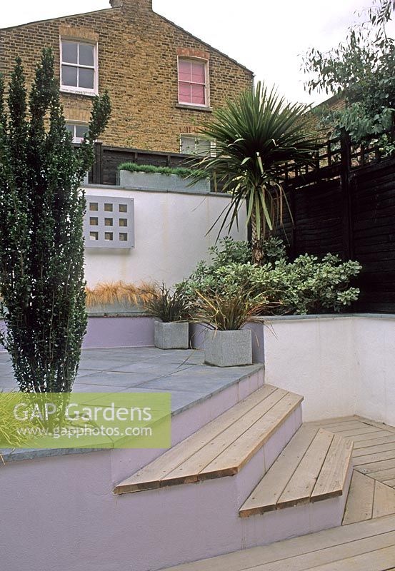 Small, urban garden with space-efficient bias cut decking, steps up to paved terrace with pots of Buxus, Pittosporum tobira and Cordyline australis - Battersea, London