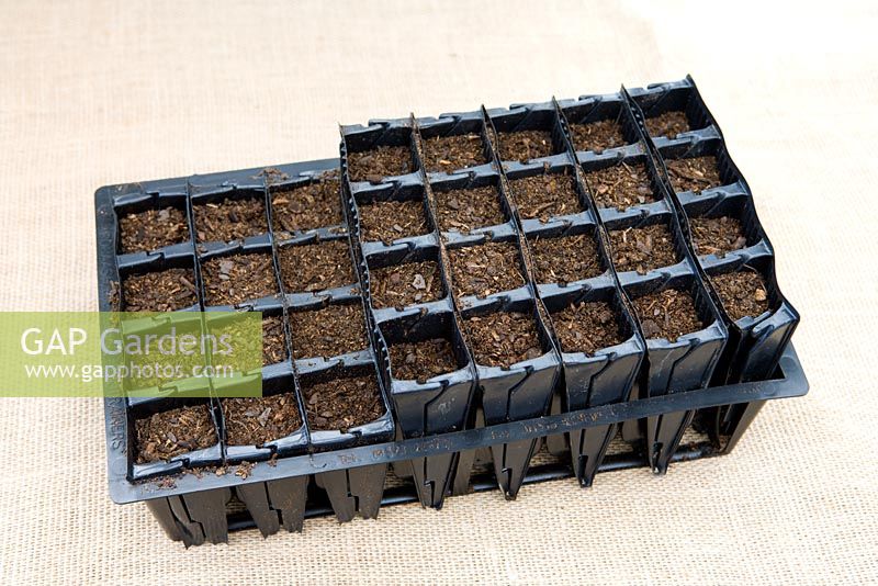 Planting seeds in 'Rootrainers' capsules - 5 steps
