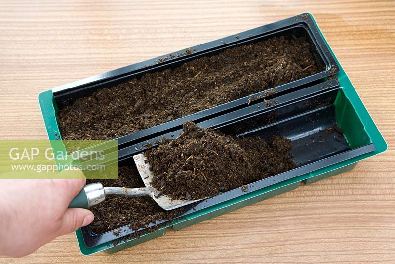 Planting seeds in 'Rootrainers' Row Planter,  5 steps