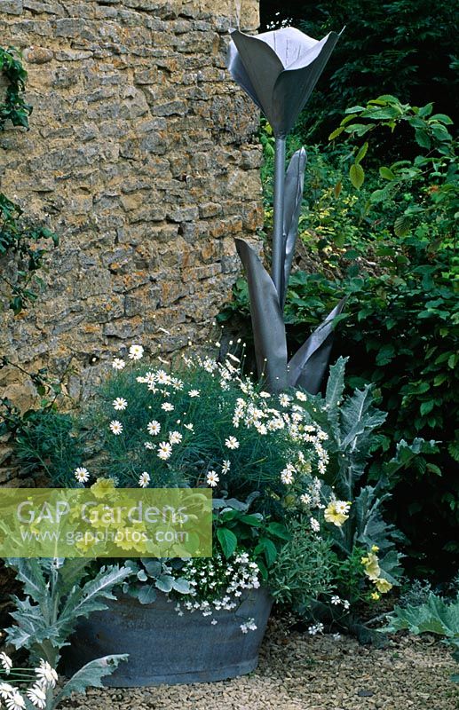Tin bath with Cerastium tomentosum, white Lobelia, lemon Petunias and Argyranthemum gracile 'Chelsea Girl' with Tin tulip ornament - Oxfordshire