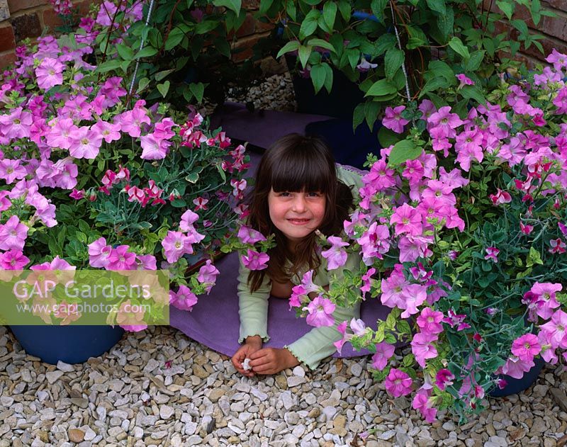 Clematis wigwam - young girl looking out from inside the wigwam of Clematis surrounded by terracotta pots planted with Petunia 'pastel'