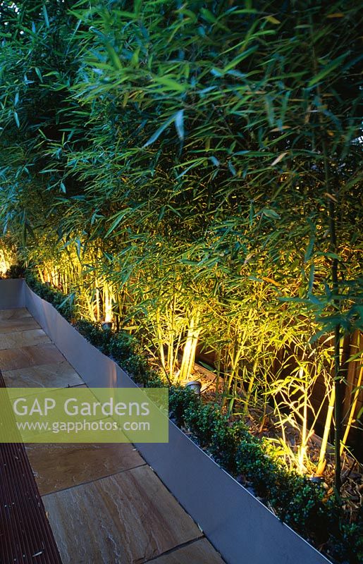 Roof terrace with decking at night, galvanised containers planted with bamboo, lit from below. 
