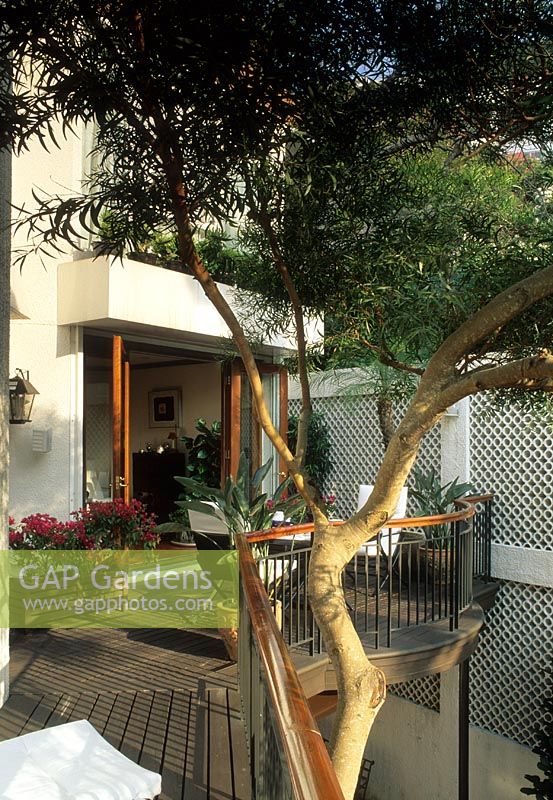 Decked roof garden with furniture and railing, tree providing shade