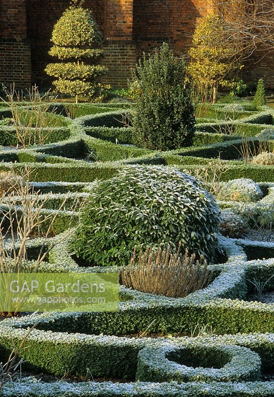Knot garden in frost at Hatfield House, Herts.