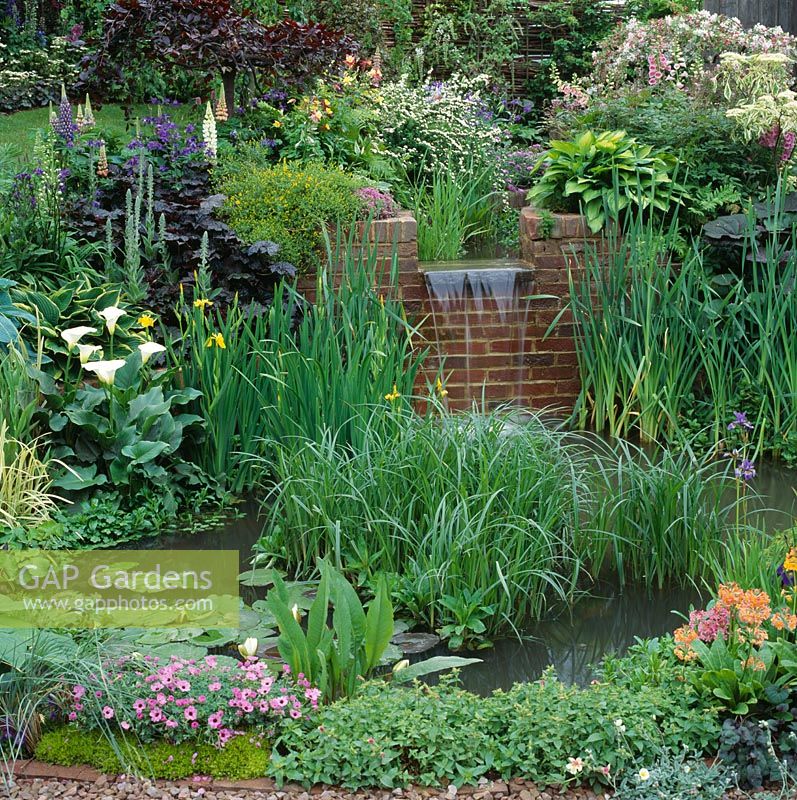 Small town garden with waterfall over brick wall into lily pond surrounded by marginals