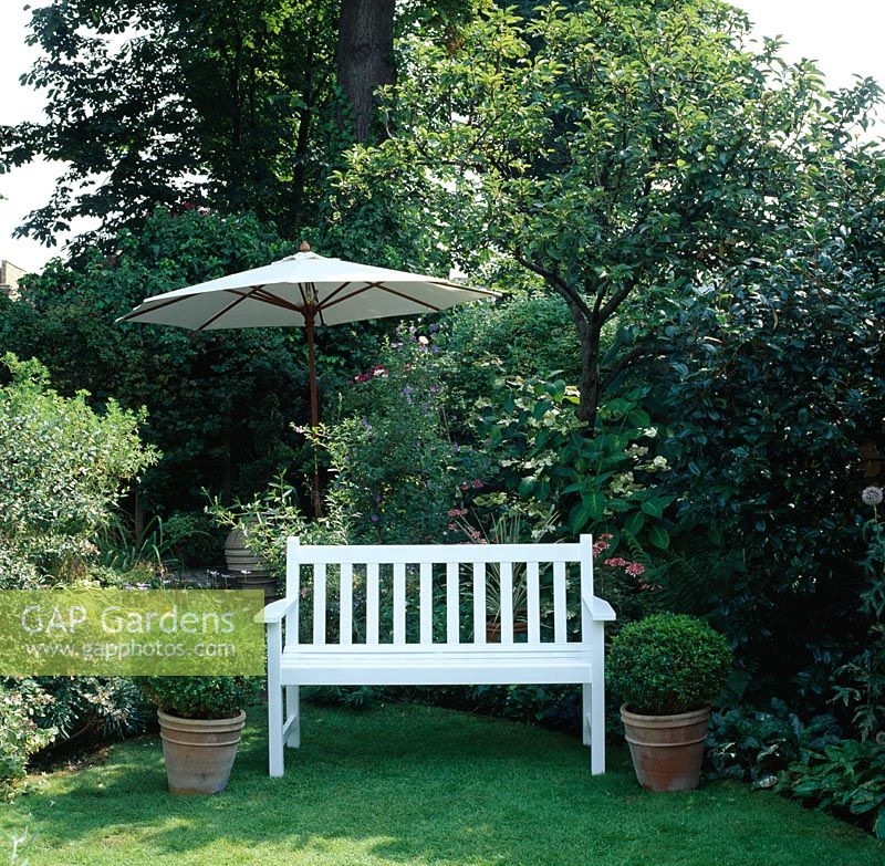 Secluded white bench on lawn with box balls in pots either side and garden parasol in background 