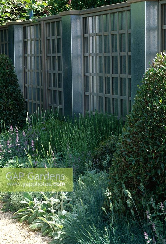 Metal and wood trellis screen with grey border, Taxus topiary and Platanus acerifolia - Christie's Sculpture in The Garden, Chelsea FS
