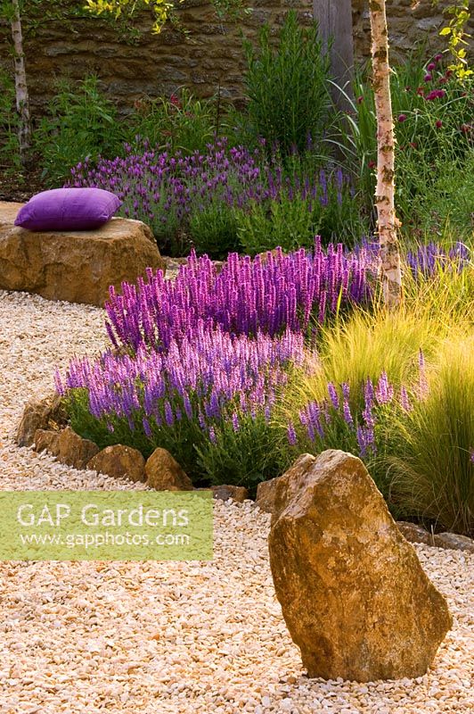 Gravel garden with rock sculpture and seat, purple cushion, Salvia 'Wesuwe' and Lavandula 'Papillon'