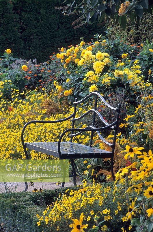 Bench in yellow colour themed garden at The Musée d'Art Américain in Giverny, France 