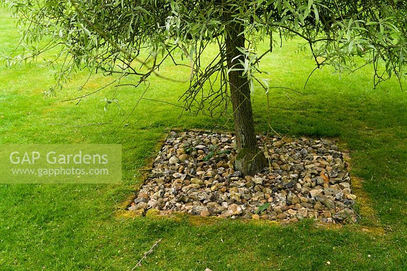 Base of tree planted into brick-surrounded square hole topped with flints.  This assists with irrigation and avoids the necessity of mowing up to the trunk of the plant.