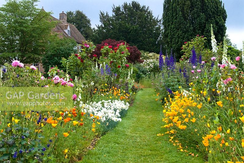 Double borders with Dianthus - Pinks, Eschscholzia - Calfornian Poppies, ROsa- Roses and Delphiniums in June at The Manor, Hemingford Grey.