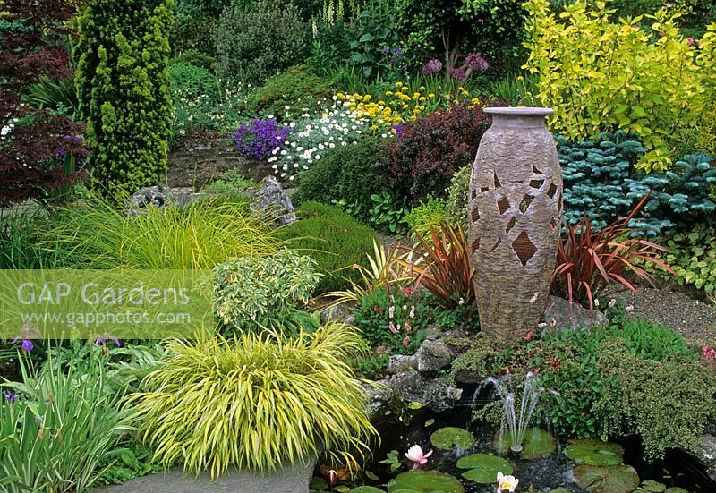 Hakonechloa, Carex, Iris and Persicaria surround small pond with Nymphaea. Tall, ornamental container - Lakemount, County Cork, UK
