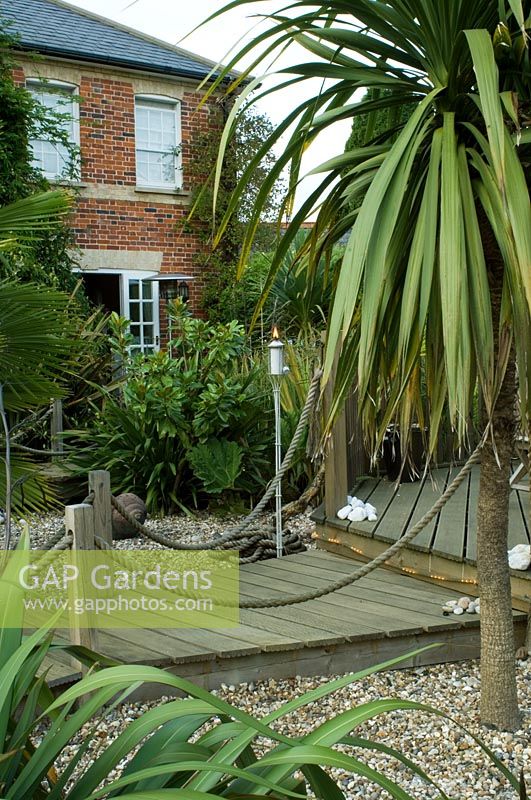 Looking to house between Cordyline and Chusan palm. White metal garden torch. 

 