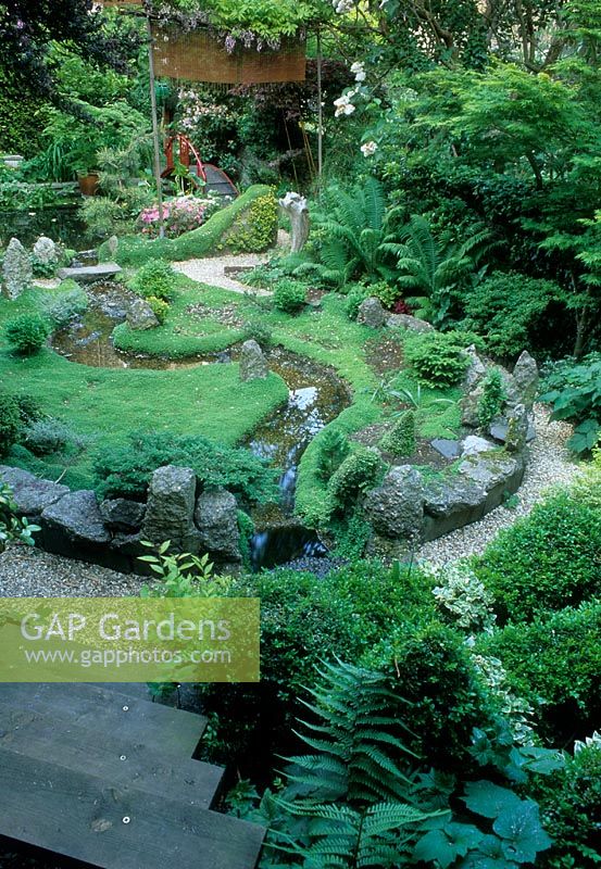 Small town Japanese garden in summer -  Hackney