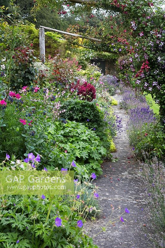 Mixed perennial border running alongside path overhung with Clematis and climbing roses.