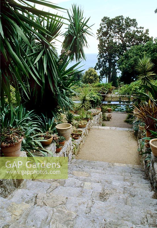 Mediterranean garden with drought tolerant planting of Yuccas and Agaves and views of sea - Clos du Peyronnet, Menton, South of France