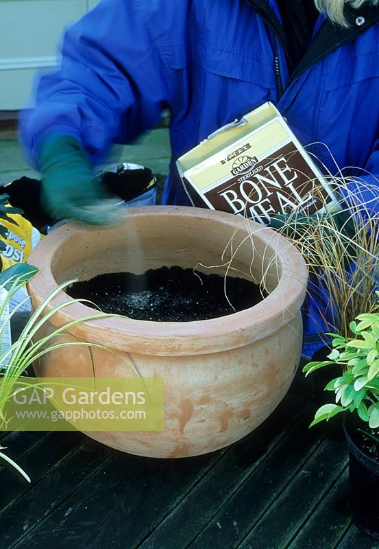 Planting a terracotta container - Slow release bone meal plant food being added to soil