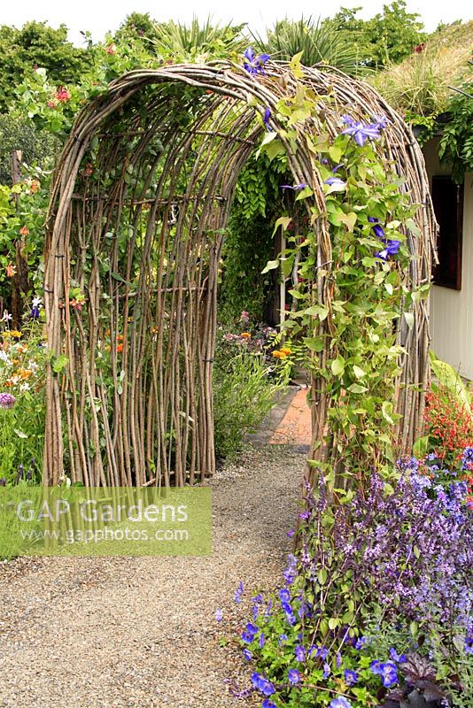Clematis growing on willow arch over blockley porous clay paving - 'I'll Drink to That' garden, Hampton Court 2007

 