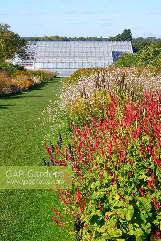 The newly built glasshouse at RHS Gardens Wisley seen from the Glasshouse borders - Formerly the Oudolf borders with planting of perennials and grasses designed by Piet Oudolf