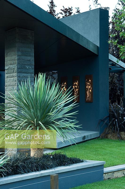 Contemporary modern garden building with raised bed of Dracaena draco and Ophiopogon planiscapus 'Nigrescens' - 'Fleming's and Trailfinders Australian Garden', Chelsea 2007

