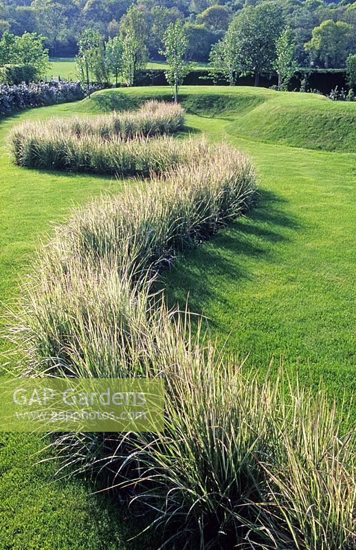 Line of ornamental grass Calamagrostis 'Overdam' and turf earthworks - The Wrekin Garden, Shropshire 