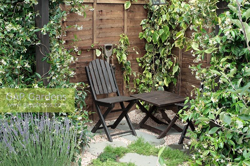 Wooden table and chairs under pergola in small urban garden. Trachelospermum jasminoides, Hedera, lavender. Thymus and Chamaemelum nobile between paving slabs and gravel - 'The Giving Garden', Hampton Court 2007