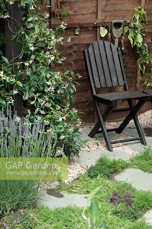 Wooden chair on paved and gravel area of small urban garden, wooden panel fence. Trachelospermum jasminoides, Hedera, lavender. Thymus and Chamaemelum nobile between paving slabs and gravel - 'The Giving Garden', Hampton Court 2007 