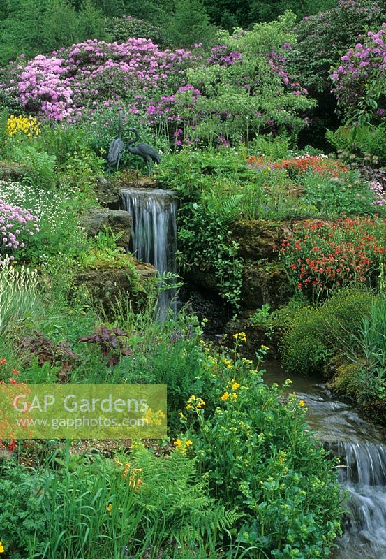 Waterfall and stream with Caltha, Helianthemum, Rhododendron and Ferns - Cowdray Park, Sussex