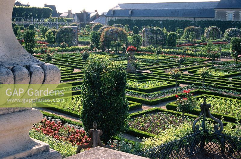 Box hedged parterres in large vegetable garden - Chateau de Villandry, Loire Valley, France 