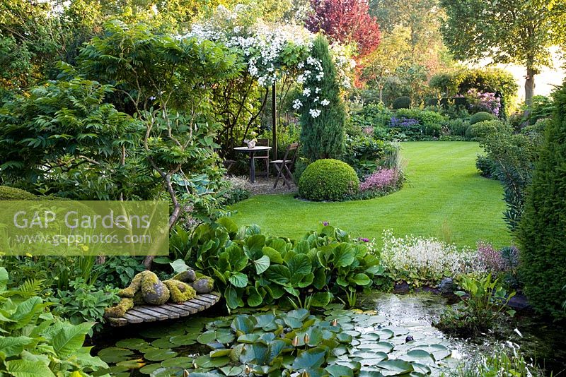 Pond with pergola and climbing rose