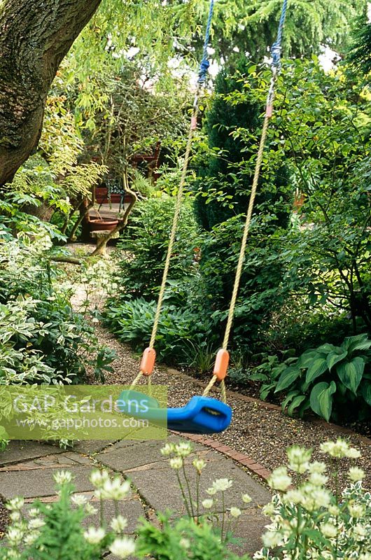 Garden swing suspended from tree