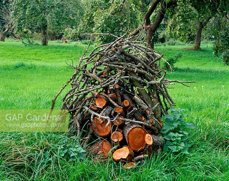Small wood pile made from fallen fruit trees