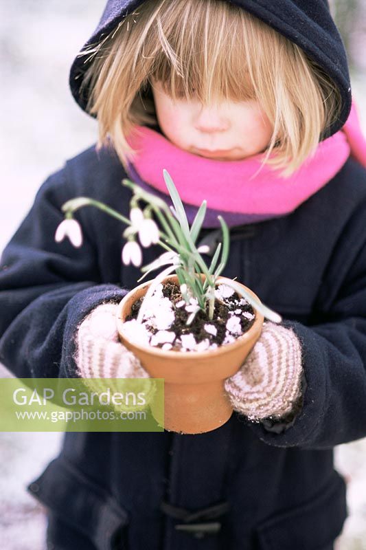 Girl holding pot of Galanthus - Snowdrops