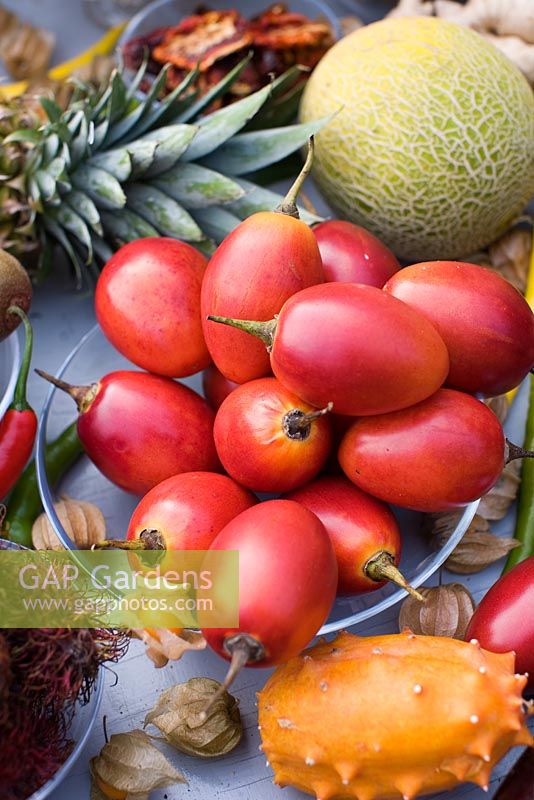 Tropical fruit including tamarillo - tree tomato, kiwano - horned melon , pineapple and melon