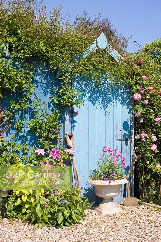 Cottage garden with blue painted door
