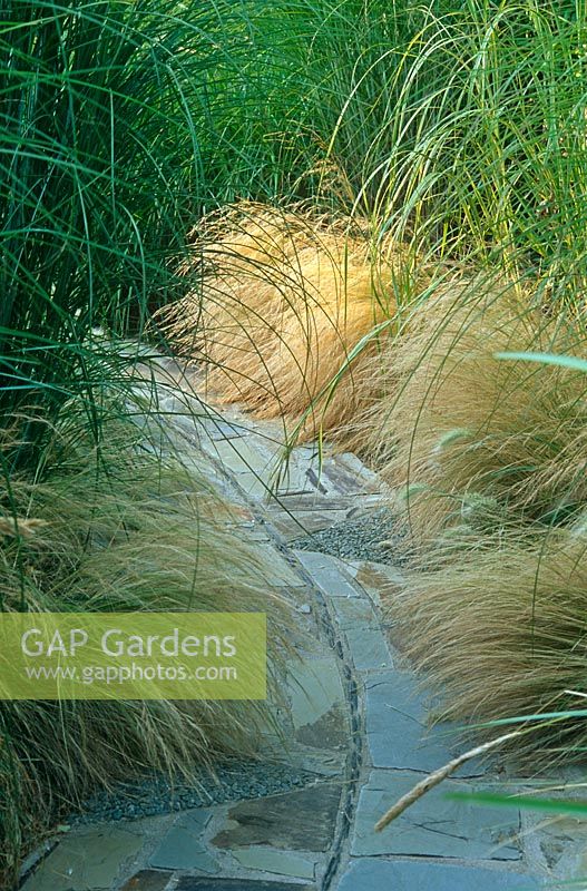 Crazy paving path weaves through border with grasses