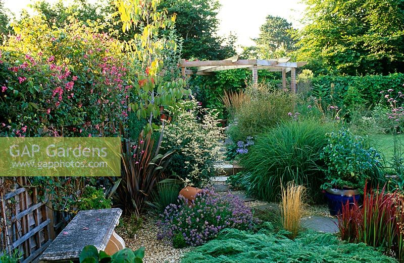 View across contemporary gravel garden with grasses, Phormium and Eucalyptus niphophila to pergola. Stone bench and trellis screen with Clematis 'Lasurstern' - Bristol