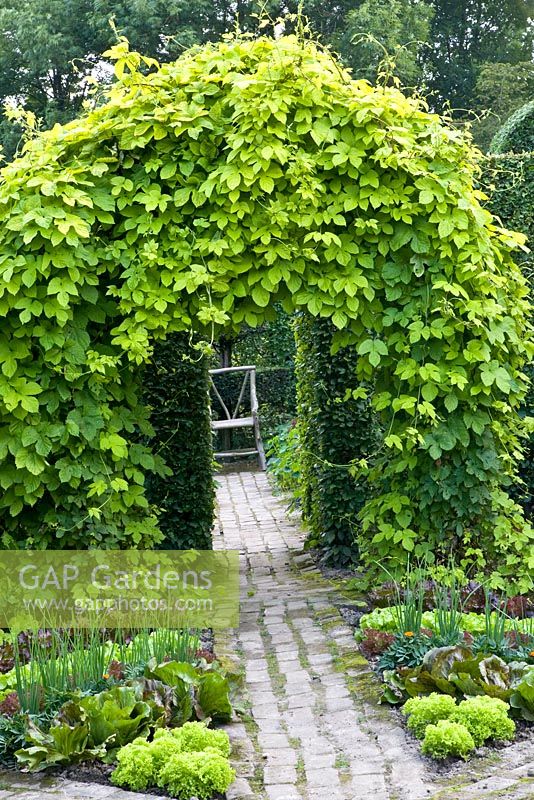 Archway in decorative vegetable garden