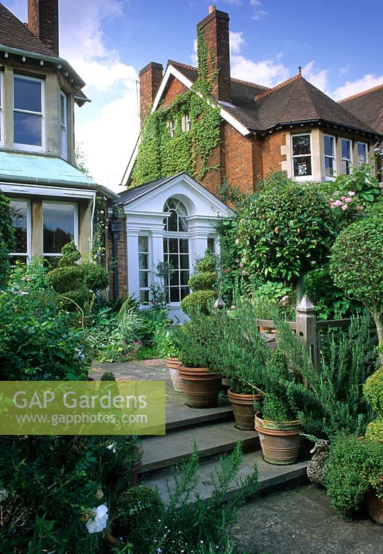 Urban garden with formal style conservatory, steps up to paved patio area with Laurus nobilis standards and Buxus spirals in containers - Rawlinson Road Oxford