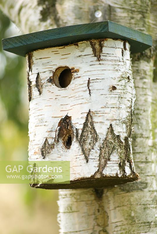 Birch bird nesting box