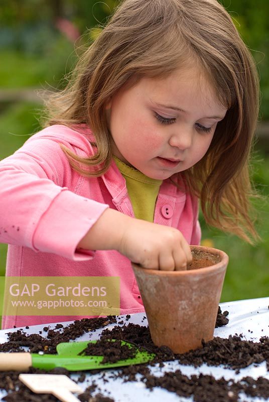Little girl planting sunflower seeds