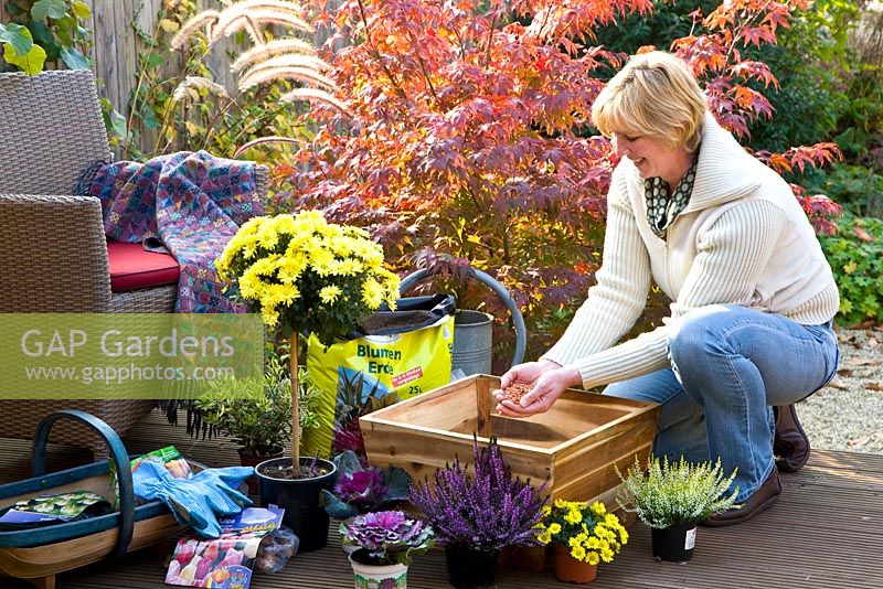 Woman planting square Autumn container with plants - Putting gravel in bottom of pot