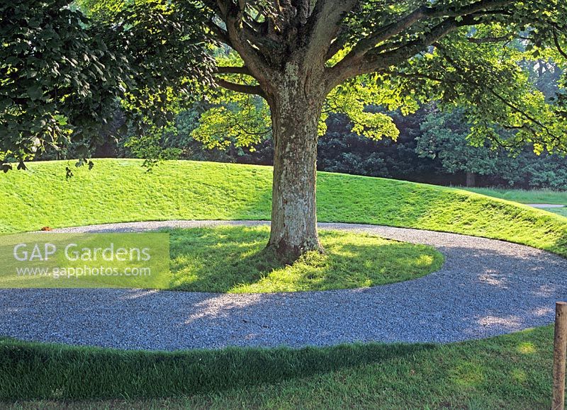 Turfed earth mound around Acer pseudoplatanus - Sycamore tree, Westonbirt Garden Festival