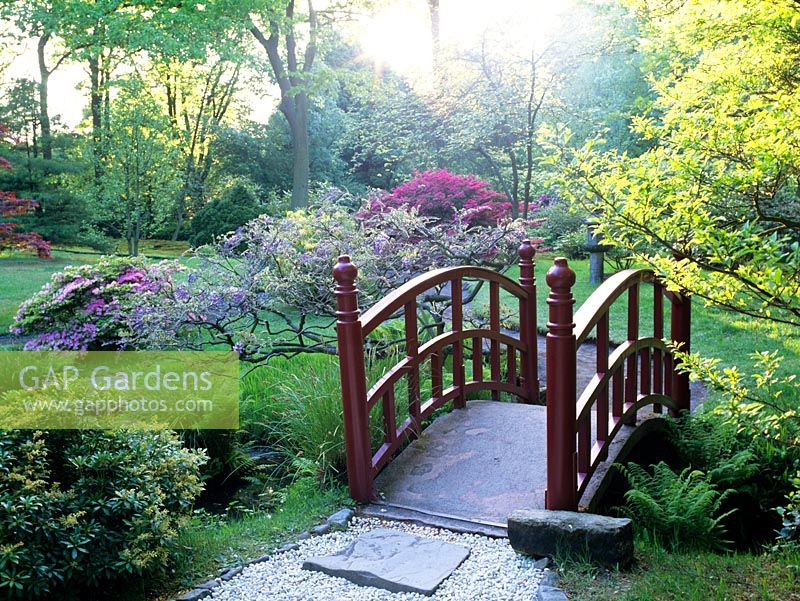 Bridge in oriental garden