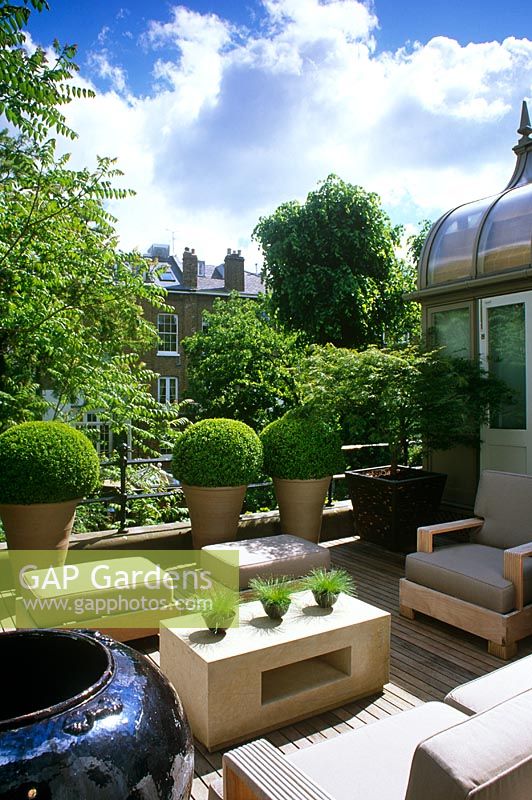 Contemporary decked roof garden with seats, Buxus spheres and Acer in containers - London
