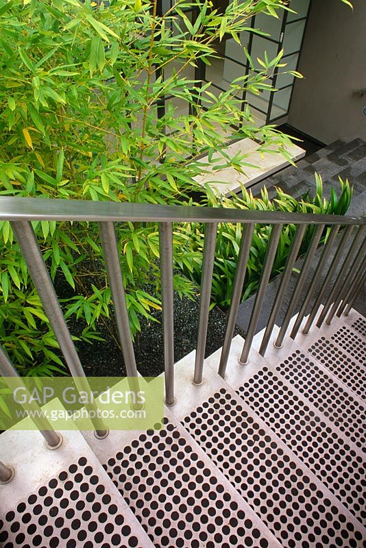 Contemporary metal steps and handrail with 
Bamboo - Wentworth Road, Vaucluse, NSW, Australia 