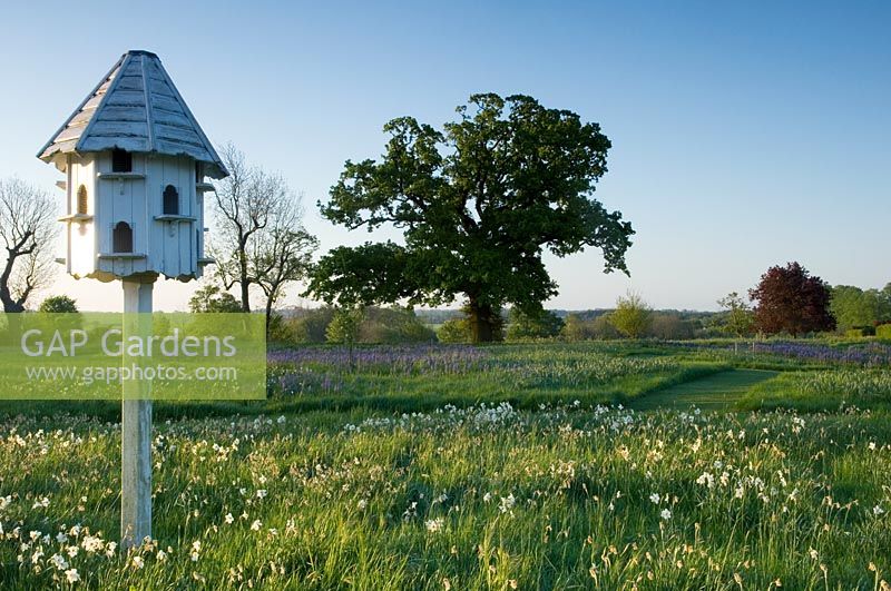 White wooden birdhouse in Spring meadow
edged with hedge and ancient oak - Kirtling Tower, Cambridgeshire