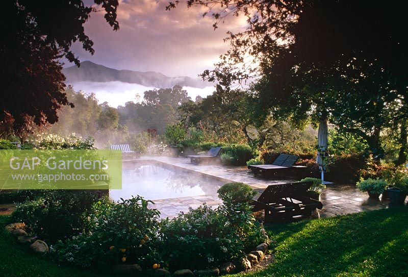 Swimming pool surrounded by detailed shrubby planting. View out to belt of trees and mist with mountains in backgrounds - Santa Barbara, California, USA